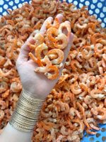 Dehydrated Vietnam Dried Shrimp Fresh Sea Product for Seasoning Paste Instant Soup Base and Snack Processing