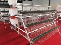 Cage à poulets automatique personnalisée, cage en batterie, équipement avicole pour les grands projets d'élevage avicole
