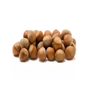 Raw Hazelnuts Kernels in Shell, Hazelnuts