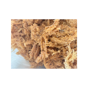 Algues séchées naturelles Cottonii du Vietnam à teneur élevée en nutriments, idéales pour l'extraction de carraghénanes et l'industrie alimentaire - Product Image 5