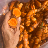 Kunyit dari 100% produk kualitas Premium kunyit alami ukuran grosir 1 kg dari Vietnam