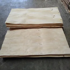 Madera de eucalipto de álamo o Acacia, diseño personalizado de buena calidad para madera contrachapada, venta comercial, 2023