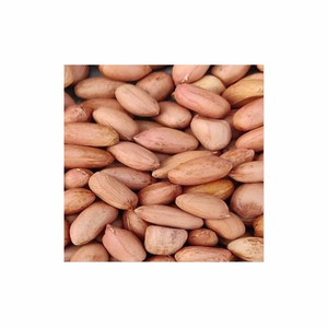 Vente en gros d'arachides séchées fraîches/congelées 100% biologiques arachides de haute qualité sans OGM à l'état brut - Product Image 1