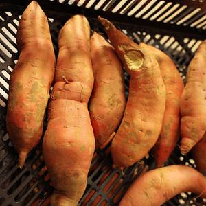 BRC HACCP ISO Vente en gros Fabricant en vrac de patates douces fraîches IQF à vendre - Product Image 3