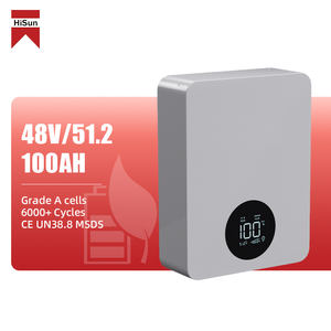 히순 51.2V 100Ah 벽걸이형 LiFePO4 배터리 장수명 5KWh 에너지 저장 리튬 배터리 가정용 태양광 시스템용 - Product Image 1
