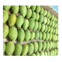 Hoge kwaliteit verse gele mango's, bestseller, goedkoop van 99GD Dong Thap Vietnam, graad A, 12-16cm, 250g
