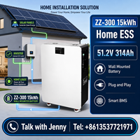 Batterie de stockage d'énergie solaire domestique Docan ZZ-300 murale 51,2 V 16 kWh 300 Ah LiFePO4 pour systèmes hors réseau, entrepôt UE
