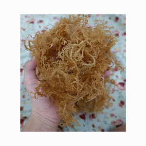 100% musgo marino de oro de alta calidad Natural no salado/Algas Marinas de musgo irlandés/Algas Marinas Eucheuma Cottonii secas al sol silvestres - Product Image 4