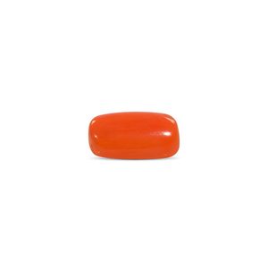 พลอยปะการังสีแดงขัดเงา 7.92 กะรัต สีขาว สูง 8 มม. - Product Image 2