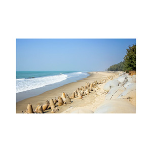 ซื้อแผ่นไม้บีชขนาดยาวในราคาที่ถูกที่สุดสำหรับโครงการก่อสร้างขนาดใหญ่ราคาไม่แพงสำหรับทุกคำสั่งซื้อ - Product Image 6