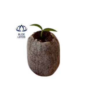 Granulés de noix de coco - Product Image 1
