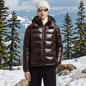 Chaqueta Acolchada Unisex de Lona Brillante con Capucha Desmontable, Abrigo de Invierno Aislante, Prenda Exterior Brillante con Logotipo Frontal, Resistente al Viento - Product Image 2