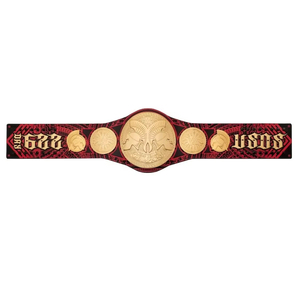 Wholesale WWE Legacy Title Ceinture de championnat personnalisée Ceinture de lutte Art martial Plaques de zinc Championnat de boxe en cuir Ronpex - Product Image 5