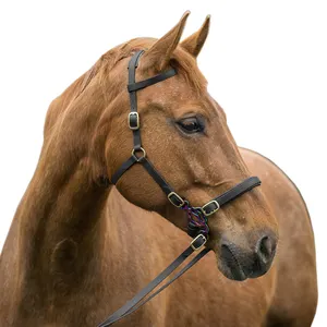 Corda de couro biomane de pvc vegan, noiva para cavalo, vestido equestrio estável, com faixa da sobrancelha, faixa de cabeça e corda de nylon