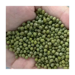 Wholesale High Quality and good price whole Green Vigna Mung Beans from Direct Supplier