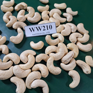 SANTIGO <b>Nuts</b> & <b>Kernels</b> Kaju Cashew WW210 Exported To Middle East, EU Dry <b>Nuts</b> - Product Image 1