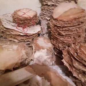 Ces peaux de chèvre naturelles sont utilisées comme peaux de tambour. Elles sont généralement utilisées pour une variété de tambours. - Product Image 2