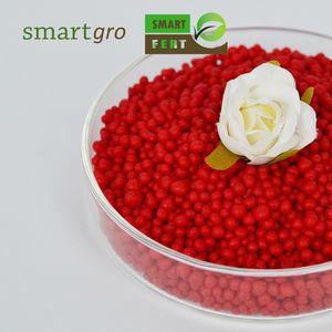 Fertilizante agrícola orgánico personalizable 10-10-10 Fertilizante compuesto de urea recubierto de resina de liberación controlada Cultivo Granular - Product Image 1