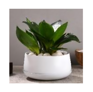 Jardinière en céramique raffinée créée pour décorer avec élégance et simplicité, s'intègre parfaitement dans les jardins et les intérieurs domestiques - Product Image 1