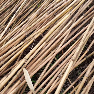 POLOS DE BAMBÚ DE VIETNAM DE ALTA CALIDAD PARA LA CONSTRUCCIÓN MUEBLES DE JARDÍN MATERIALES NATURALES ECOLÓGICOS SOSTENIBLES - Product Image 3