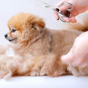 Tijeras para Cutículas de Acero Inoxidable de Alta Calidad en Venta, Tijeras para Uñas para Instrumentos de Belleza - Product Image 4