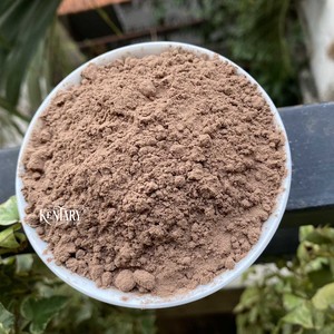 Supplément de santé-Mélange de spores de Reishi rouge Poudre d'extrait de curcuma-Supplément à base de plantes Top Quality Nature Immune Boosting Made in Viet - Product Image 3