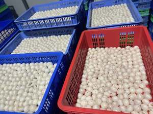 Litchi congelé | Pelé et sans pépins | Exportation en vrac du Vietnam - Product Image 4