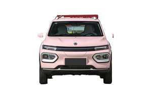 Auto Eléctrico Pequeño de 5 Puertas y 4 Asientos, Mini SUV de Largo Alcance (201 km), Vehículo Eléctrico Chino Económico en Venta, en Perfecto Estado - Product Image 5