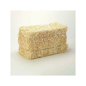 Good Quality Wheat Straw Hay Bales for Animal Feeding Very Reasonable Low Price Best Sale - Product Image 1