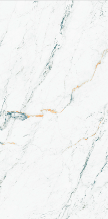 เส้นเลือดสีน้ำเงินสีขาว