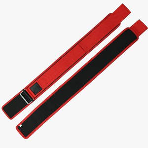 2025 hommes et femmes ceinture d'haltérophilie pour le soutien du dos Powerlifting haltérophilie Gym entraînement 100% Nylon - Product Image 4