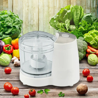 Hachoir à viande électrique compact 120W avec bol AS de 350 ml, dispositif de sécurité et pieds antidérapants pour cuisine domestique