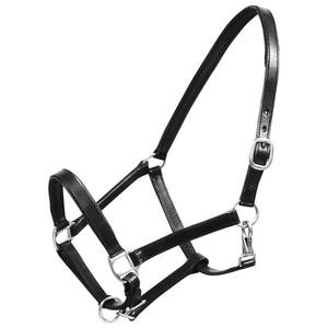 Licol en cuir véritable Halter stable Doux Rembourré Marron/Noir Cob/Full - Product Image 6