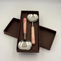 Ensemble de couverts en métal au design unique, lot de 2 avec manche en résine, pour la cuisine à domicile, ensemble de cuillères, fournisseur en gros à bas prix