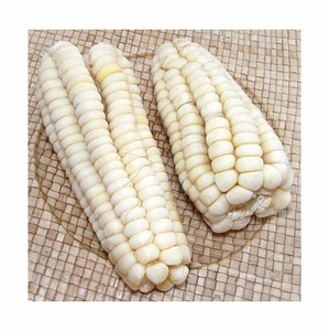 Maíz blanco no GMO secado al aire/granos de maíz blanco precio barato - Product Image 2