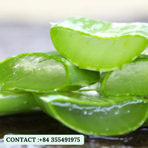 Materia prima de aloe vera natural para belleza/Procedente de Vietnam/Sra. Jessi - Product Image 4