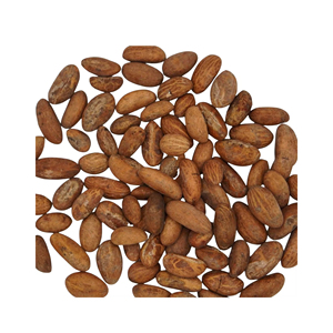 ซื้อถั่วโคล่าขม (ถั่วโคล่า) Garcinia Kola สด - Product Image 3