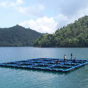 HIGH QUALITY HDPE <b>Floating</b> Fish Cage Size 3x3 Meters, 4 Holes per <b>Unit</b> for Fish Farming - Product Image 1