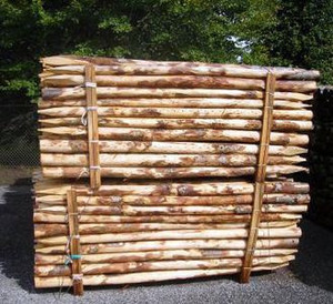 Bạch đàn, gỗ thông, Gỗ keo gỗ cứng Sharping 1 đầu sản phẩm số lượng lớn giá bán buôn - Product Image 5