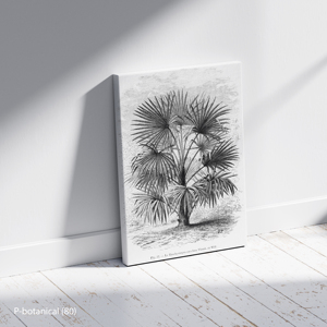 Palm Tree Line Art Botanical Wall Art Canvas Print Vintage Tropical Illustration Modern Design Wood <b>Frame</b> - Product Image 2