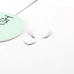Custom packaging tray 5d 7d 9d ultra speed wispy premade lashes promade volume lashes eyelash supplier various thickness