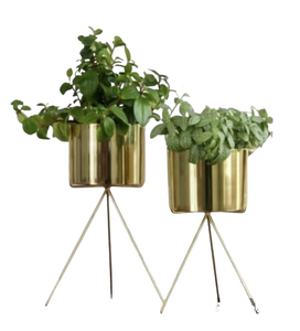 Meilleur pot de plantes Dernière jardinière de table Prix de gros Nouveau dernier pot de fleurs de jardin pour la meilleure décoration et le balcon de la maison - Product Image 1