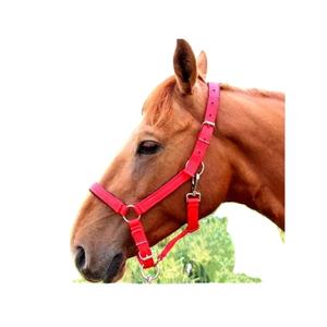 Licol de cheval réglable, design réfléchissant, confortable, toutes races, couleur personnalisable, matériau en cuir durable, taille personnalisable, résistant - Product Image 3