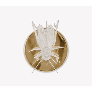 Lampe murale LED moderne en filigrane style cricket, corps en cuivre, lumière blanc chaud CCT, décorative pour intérieur et extérieur, salon et décoration intérieure - Product Image 1