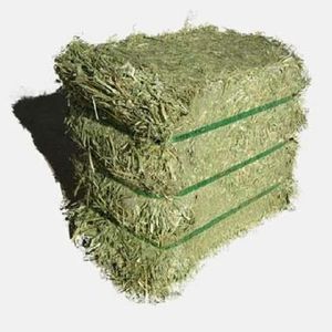 Vente en gros Foin Alfafa biologique Alimentation animale/Bien-être animal Qualité - Product Image 3