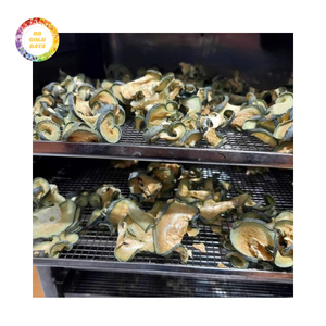 Bandes de melon d'hiver séché en gros pour l'exportation avec des offres économiques - Product Image 2