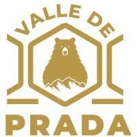 MIEL VALLE DE PRADA logo