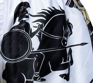 Shorts de Muay Thai pour match de MMA, kickboxing, boxe thaïlandaise, entraînement d'arts martiaux, séchage rapide, respirant, shorts de sublimation - Product Image 4