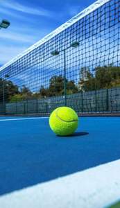 Balles de tennis personnalisées de haute qualité pour fans de cricket - Product Image 6