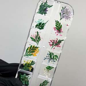 Caja de Flores para Decoración de Uñas A10jet, con Flores Secas Prensadas Reales, Artesanía en Resina para Diseños de Uñas Elegantes - Product Image 3